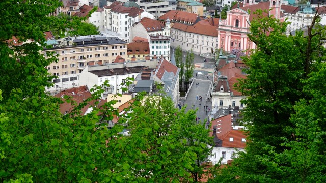 969E26B1-4766-4D17-89C5-2F6059CB841E