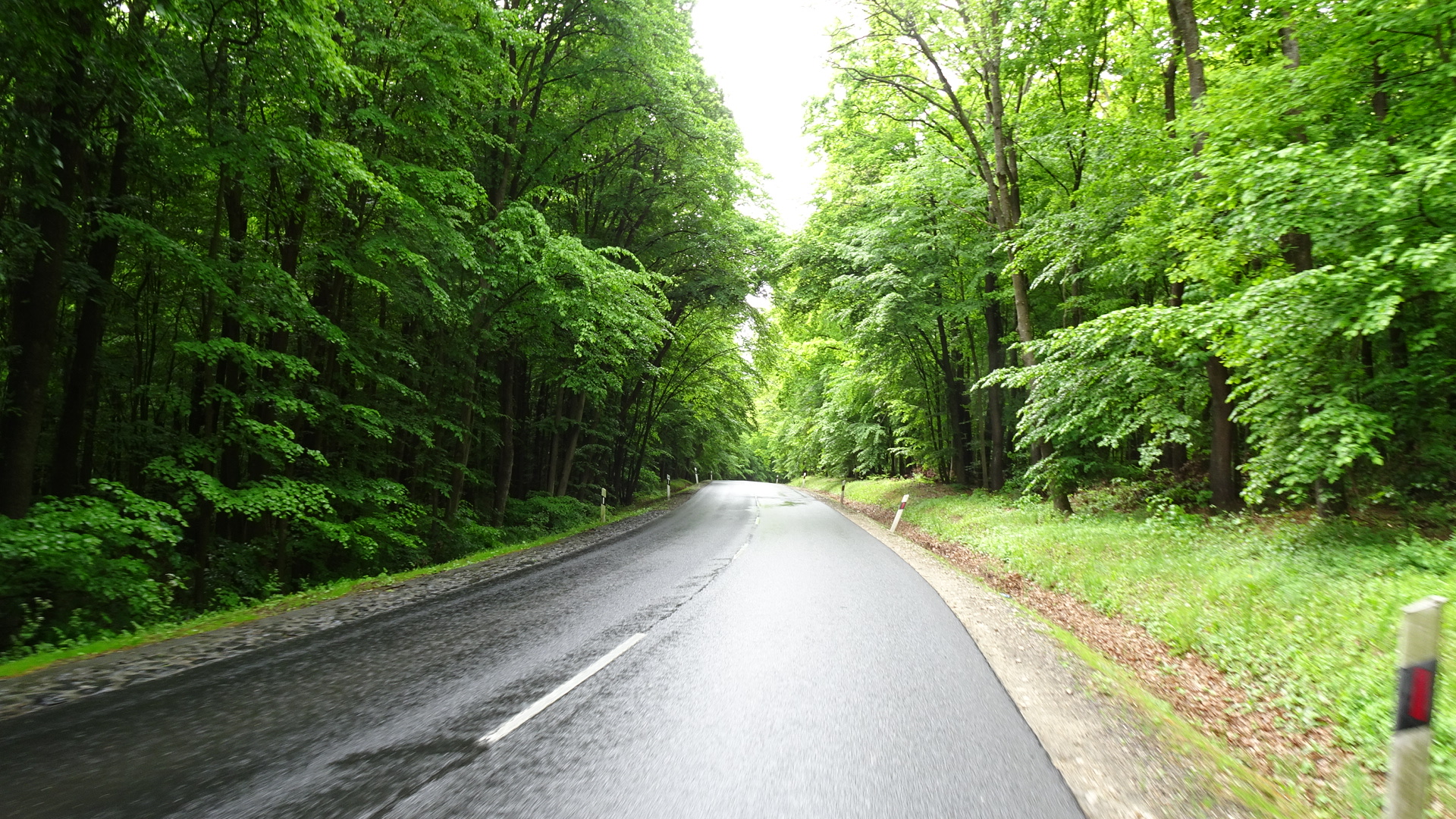 982D1CE4-1F94-45FD-8841-3DB7540A2908