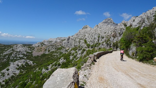 99E0B260-DCB5-41DA-AA4E-3EAF9F52F00A