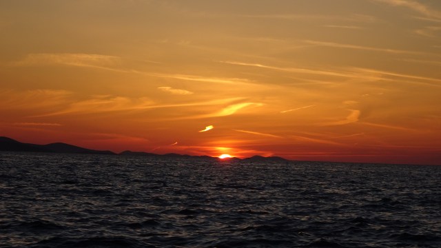 9A449AAB-E17F-456F-BE8E-809C320C7AFD