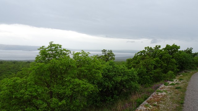 9C6AB681-EBFE-4B4D-A8C1-D303ADED8027