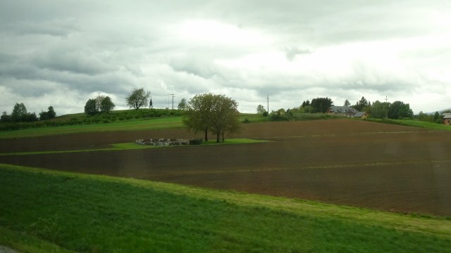 9E311EF8-3722-4D00-A47C-6BB7AFE7CFC6