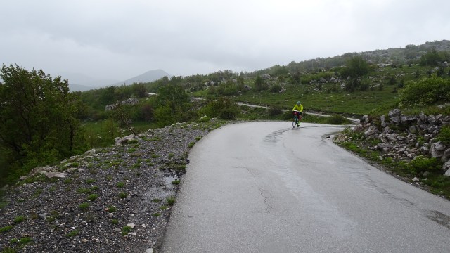 9FBA497C-8956-4DC7-B118-7B55846B5E93