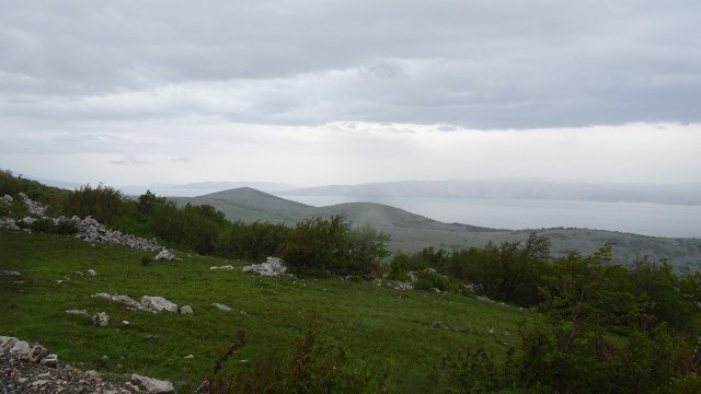 A43B208D-FFA3-4FDA-80C5-403674149E13