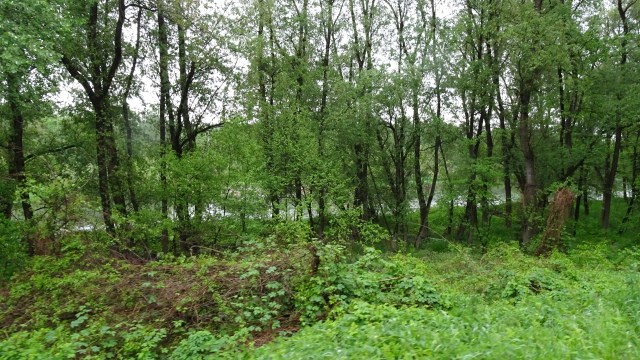 A46CF4C9-4001-4DC1-A04E-A66B1DF286CB