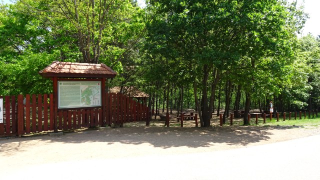 A4A3F93B-1F76-496B-B449-91D134B7C176