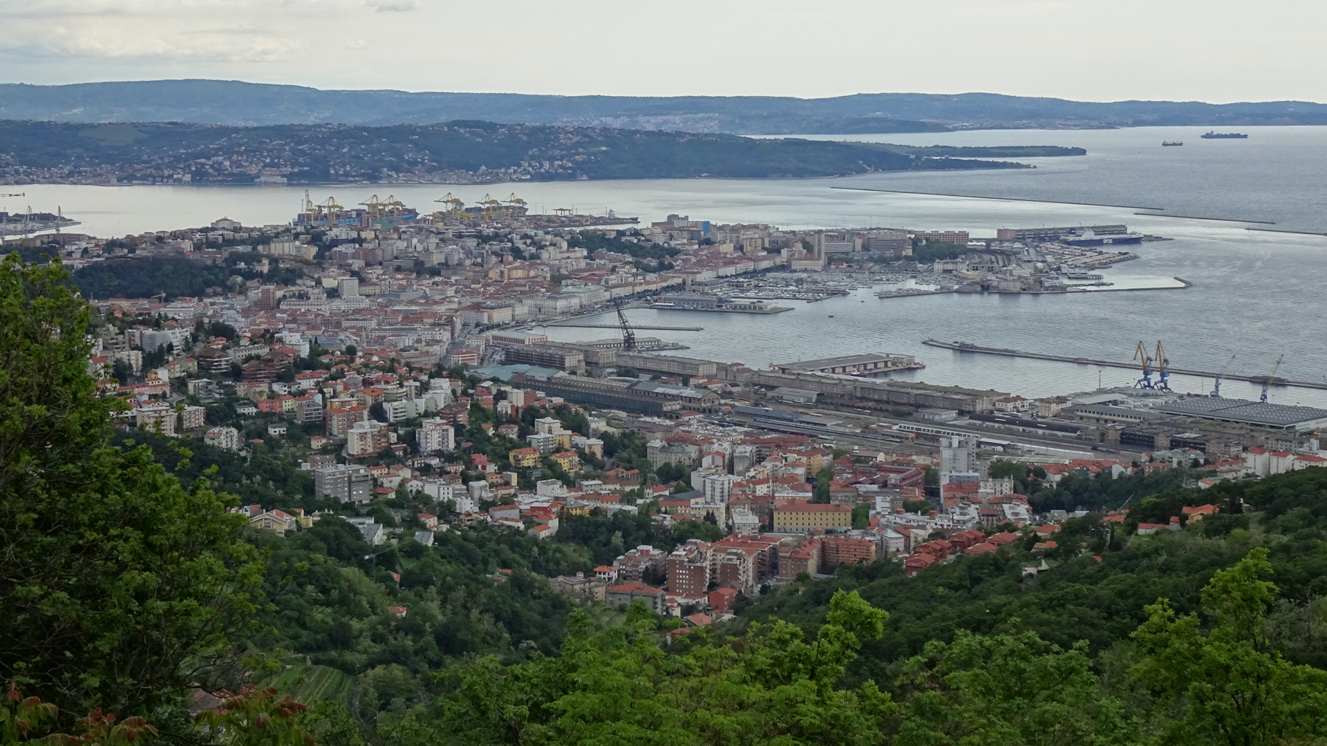 AAA51A0B-6707-48DC-B723-996B6FAD5A67