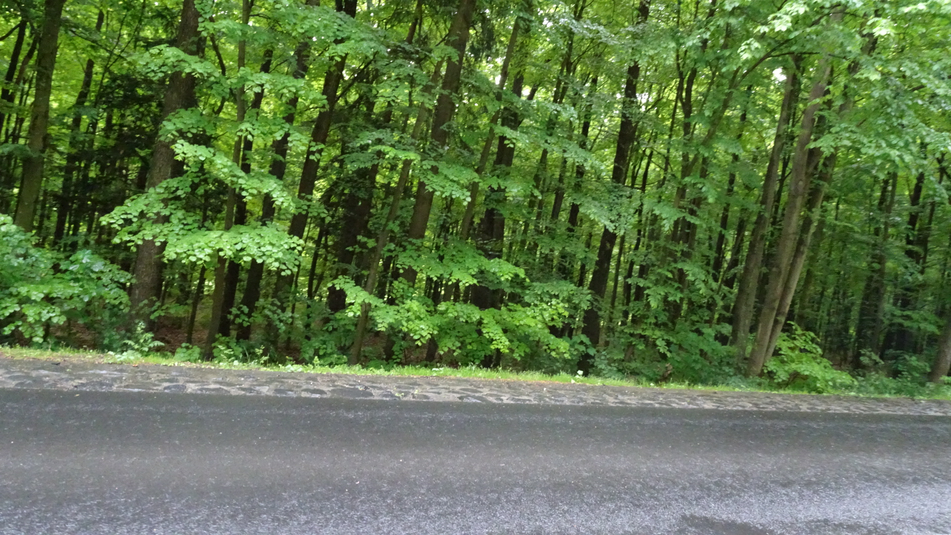 ADA739EE-DE73-4920-9A8A-ACB12218680B