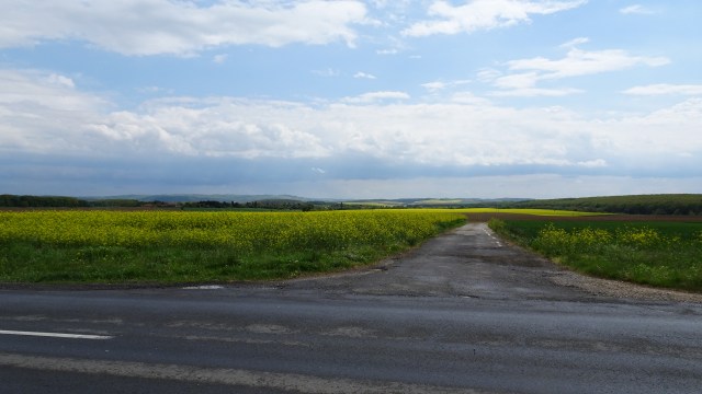 AE878858-E440-4EB8-918B-83471E51ED79