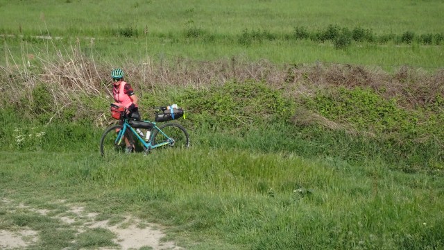 B2D23A71-8B7A-4961-9ED6-2696966229E2