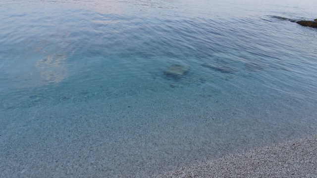 B5101E70-59BD-4F2C-980B-3456EE732938