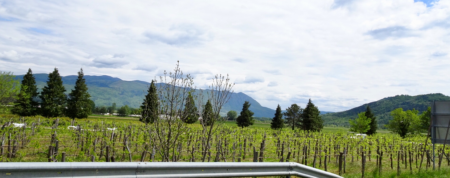 BB66E397-9D8A-4511-9C22-73350CEAA9D4