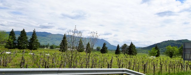 BB66E397-9D8A-4511-9C22-73350CEAA9D4