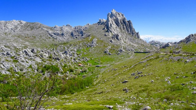 BD1B9AB6-5C8A-4E64-9DDE-E78D0E91E965