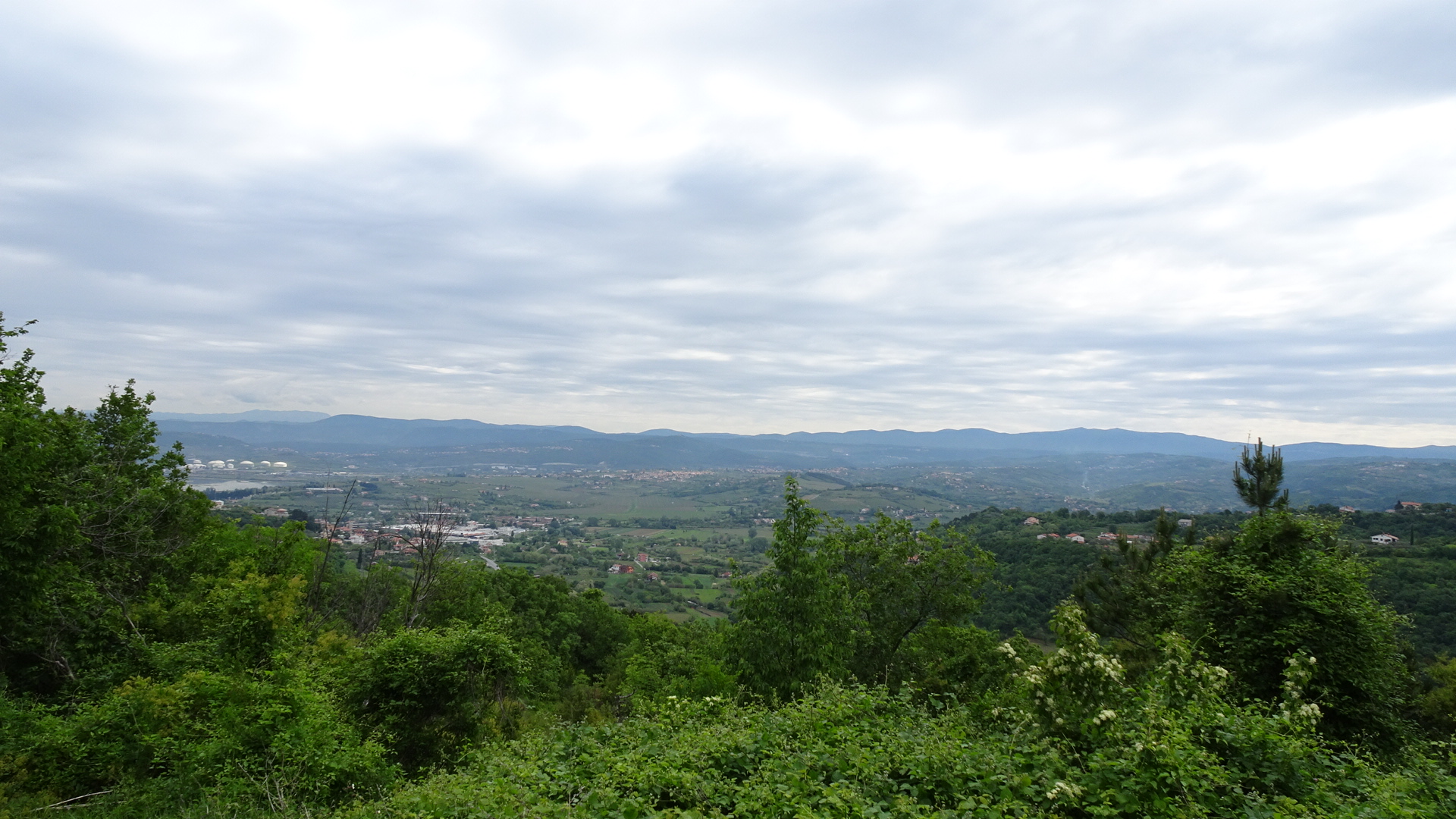 BDDB0B79-23FA-4C69-A98D-147A598D8585