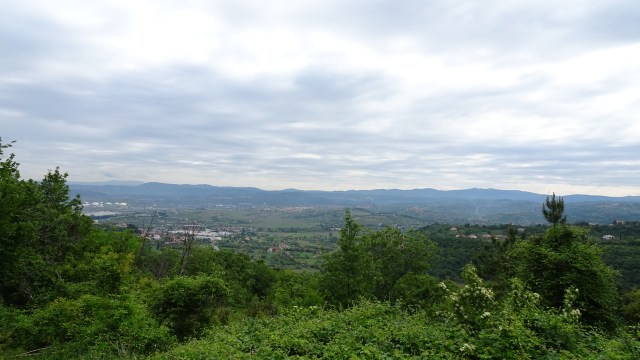 BDDB0B79-23FA-4C69-A98D-147A598D8585