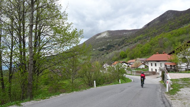 C87946E6-C8E9-4D98-9C0D-7B40A1533B28