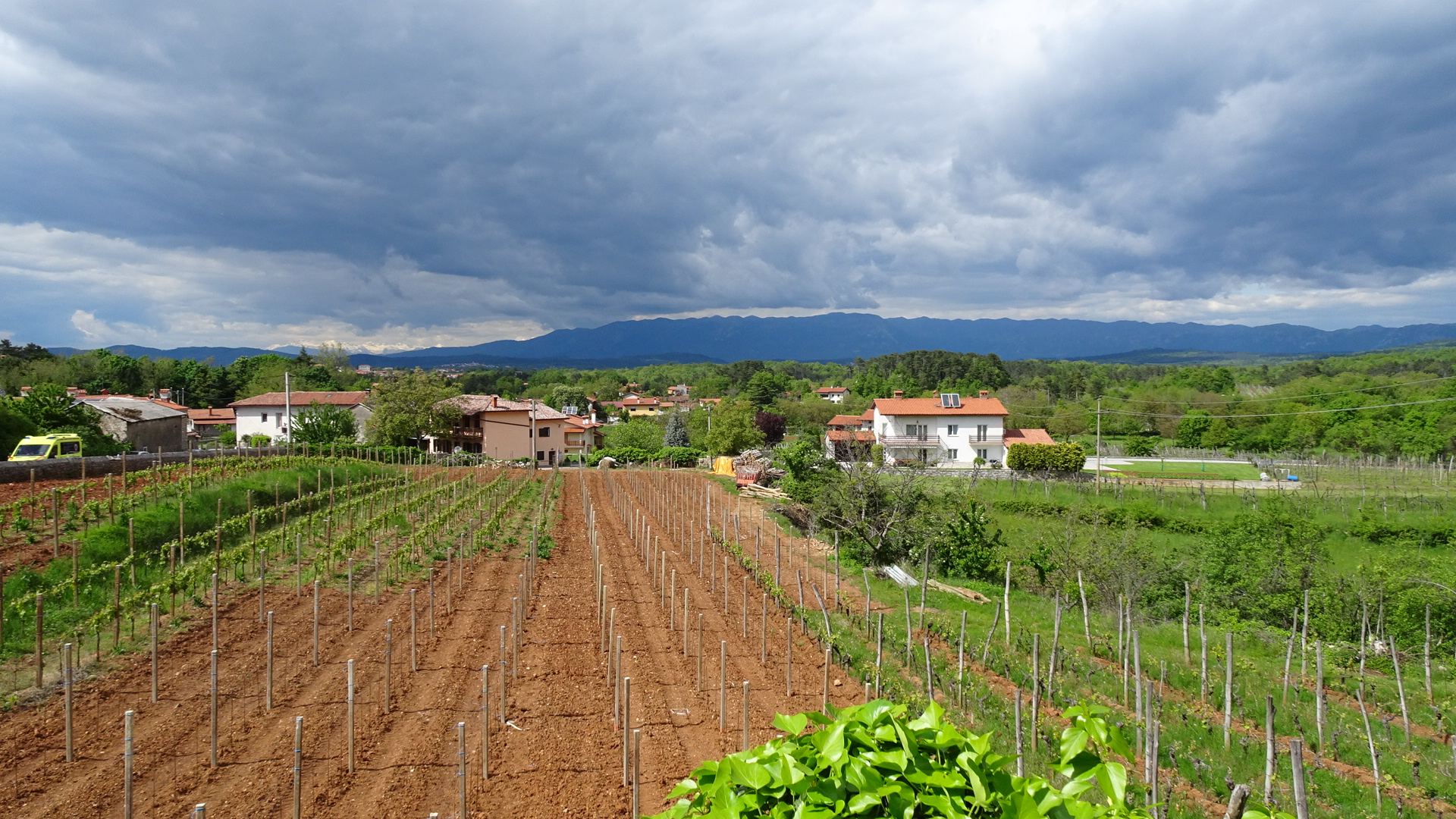 CA359700-542E-459F-B1AA-151AC4B695F6