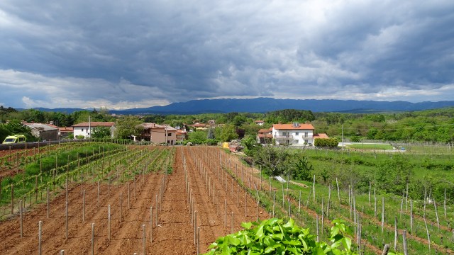 CA359700-542E-459F-B1AA-151AC4B695F6