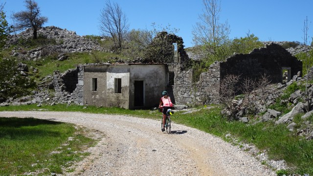 CCCDBA09-0B33-4072-89AE-724534AA1956