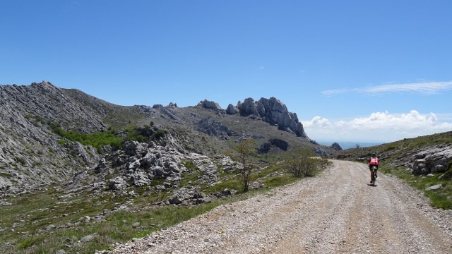 D4956DA4-F7B9-4DEC-AC19-68228825922B