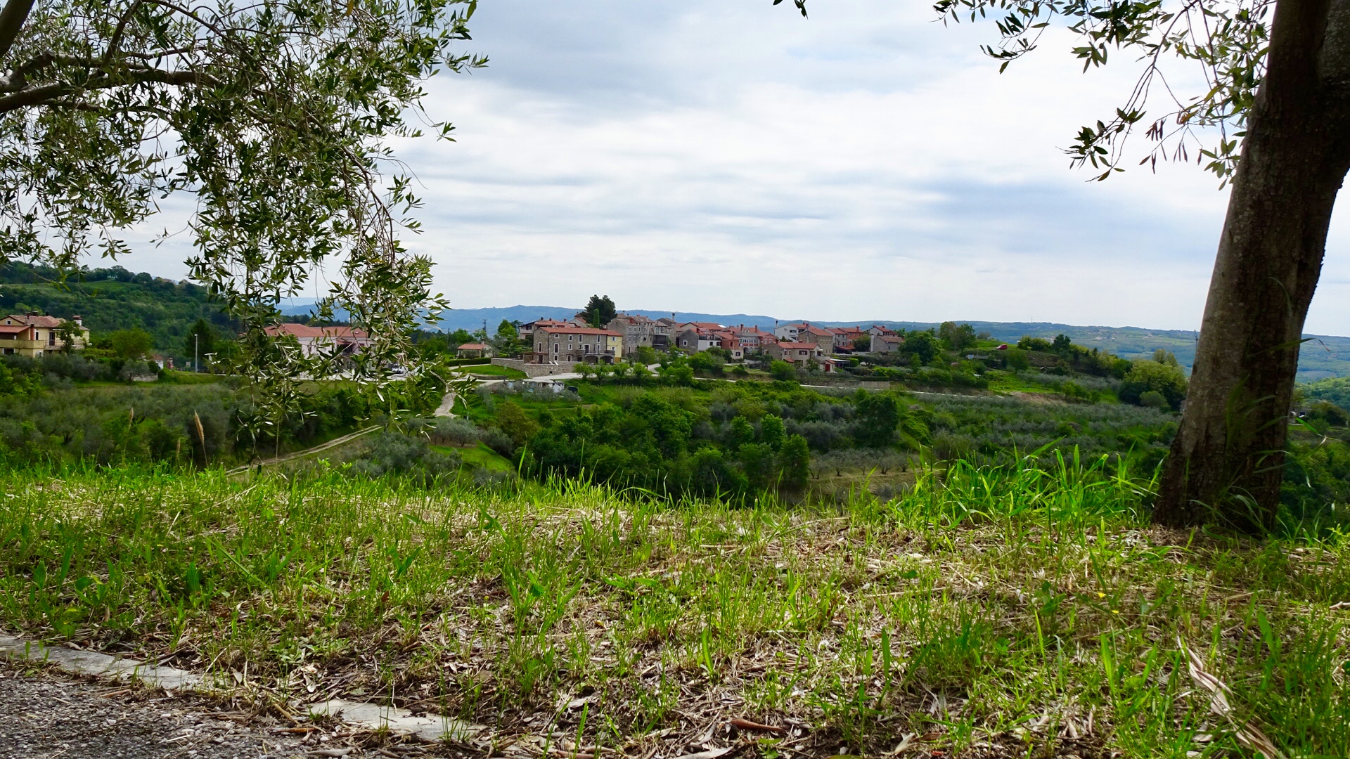 D4B96832-3FD7-4CD8-B28F-8FC7BE6A429C