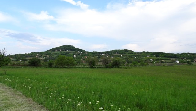 D7AC0DDB-EF7C-47D6-A90D-93ED18DCF8B3