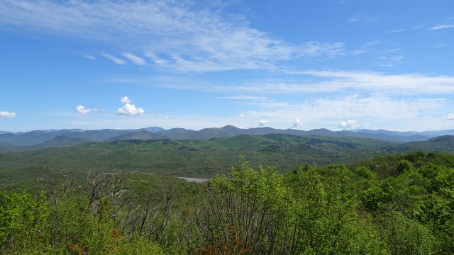 D7F7858C-779E-4110-9971-DD44B26B39DB