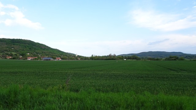 DB0D772E-9FAA-47DC-A859-1F0C4EED4947