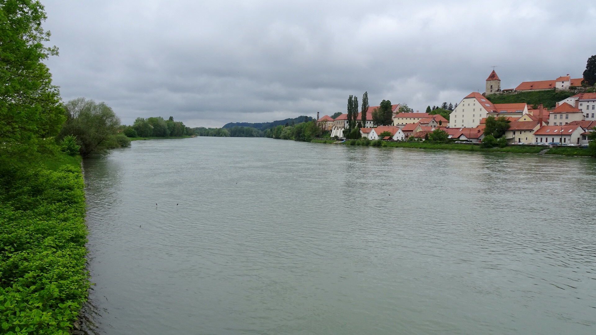 DE36E08D-C60C-440C-8424-9E7D6A81A71E