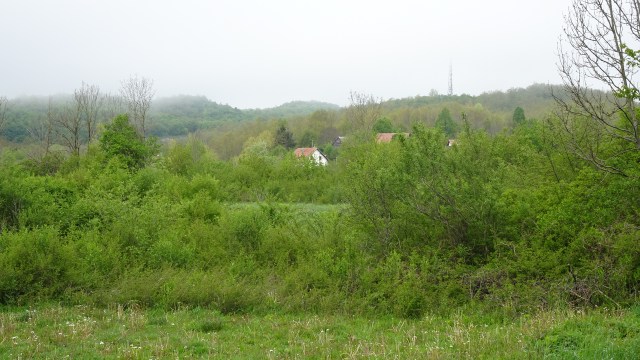 E4AD16C3-0509-4669-BFCA-12A794DBD041