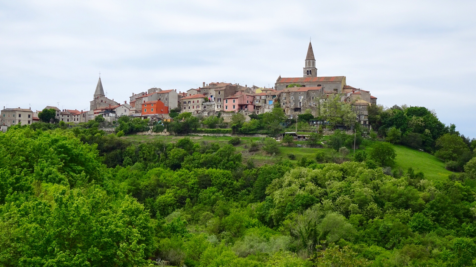 E4C80002-6349-4C30-9B85-192C8CE5DBF7