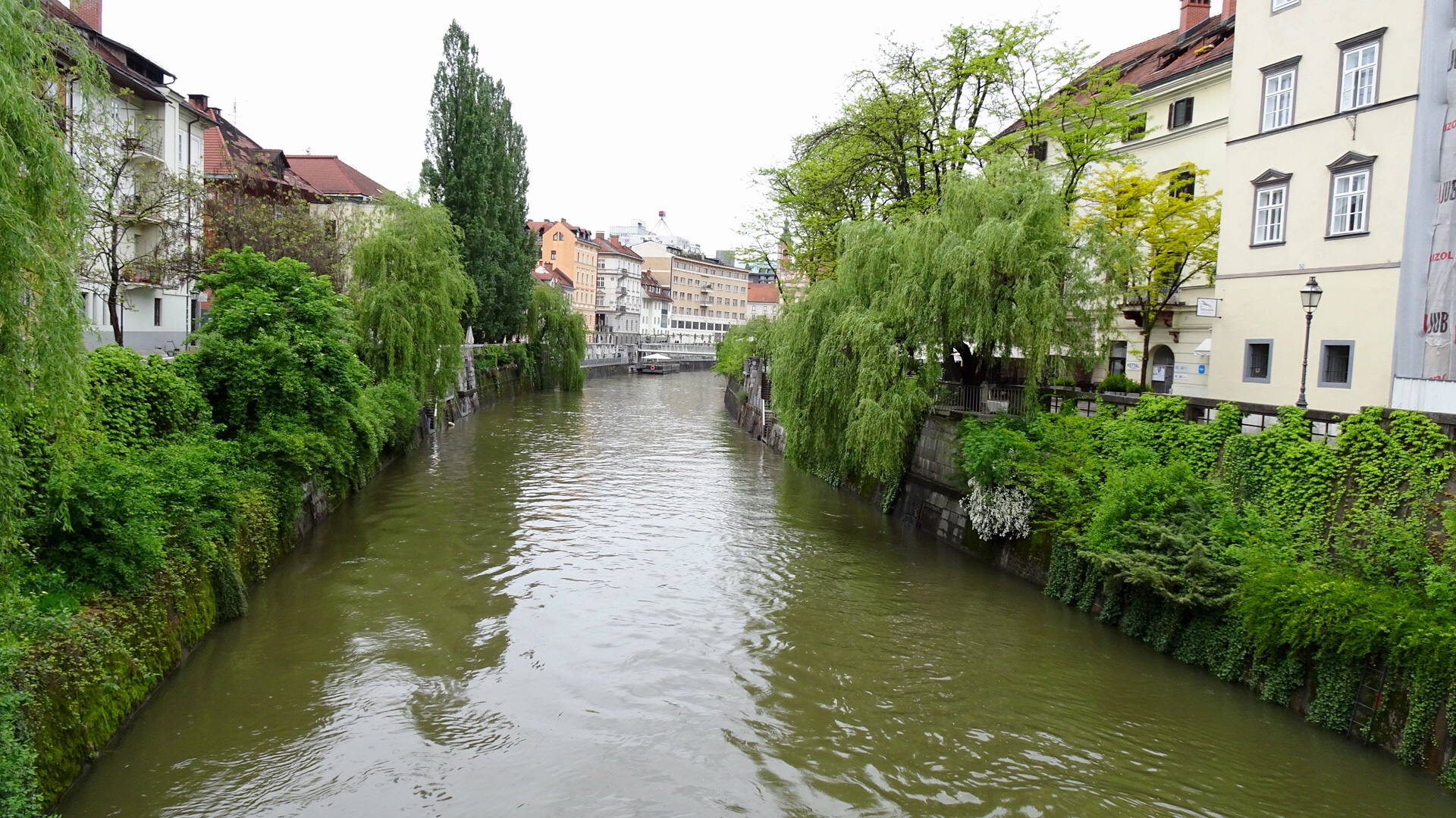 E566B619-2A30-468C-B923-8432AAAFCA8A