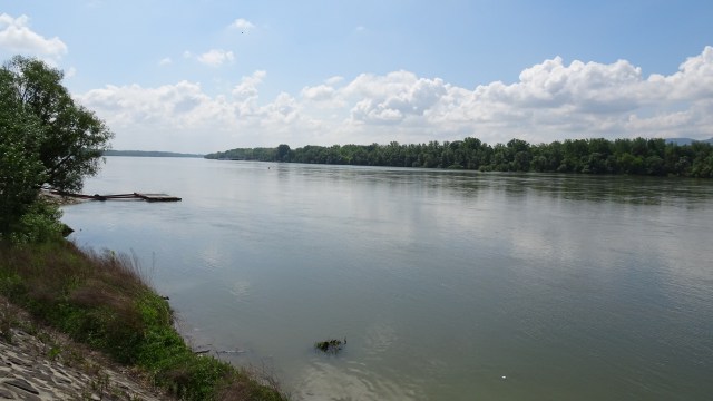 E5F373C2-FA8F-4440-AC8A-604A17E1F298