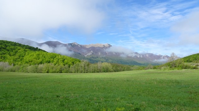 E7B1C231-58E0-4C25-8B4B-3448C7F3ACCA