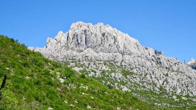 EC4F4015-09E5-470E-8D6E-3F65FF114B94