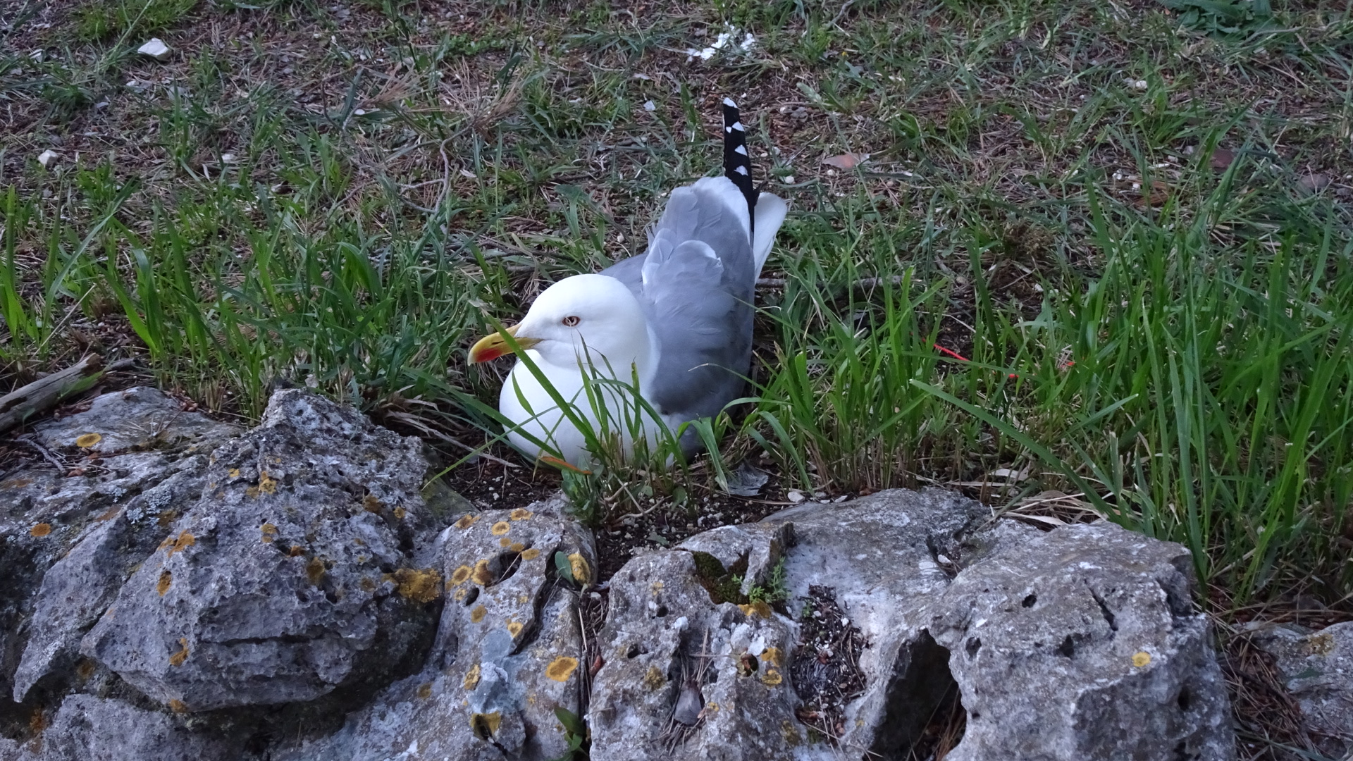 ED02F420-5F7E-405D-B22D-637AE58D9784