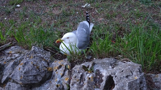 ED02F420-5F7E-405D-B22D-637AE58D9784