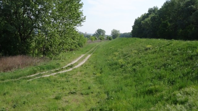 F4DF0AE2-2241-4CBD-A57C-F235648C0E45