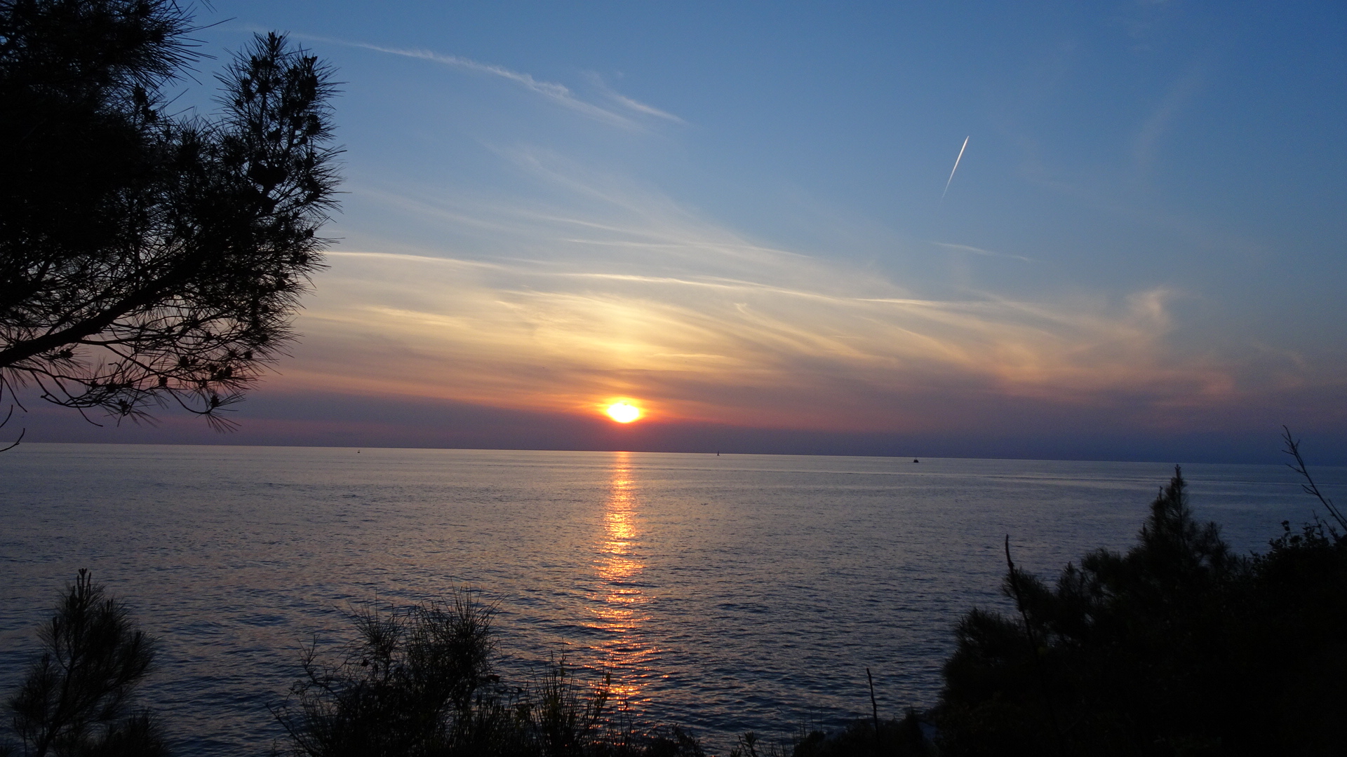 F5604551-B9B1-4A5B-AFDF-EBC10EE9C379