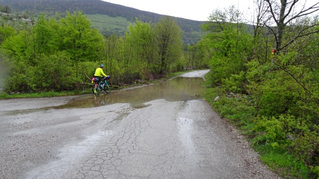 F7712AD0-4283-4494-9B94-9E74FBF24886