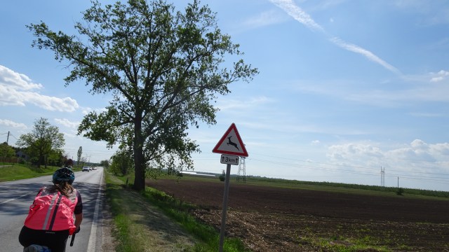 F7EE9B14-A5BD-4841-A080-64A724AE6EA1