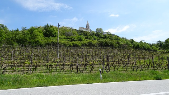 F9238D80-4498-493D-8594-52BD0114A609