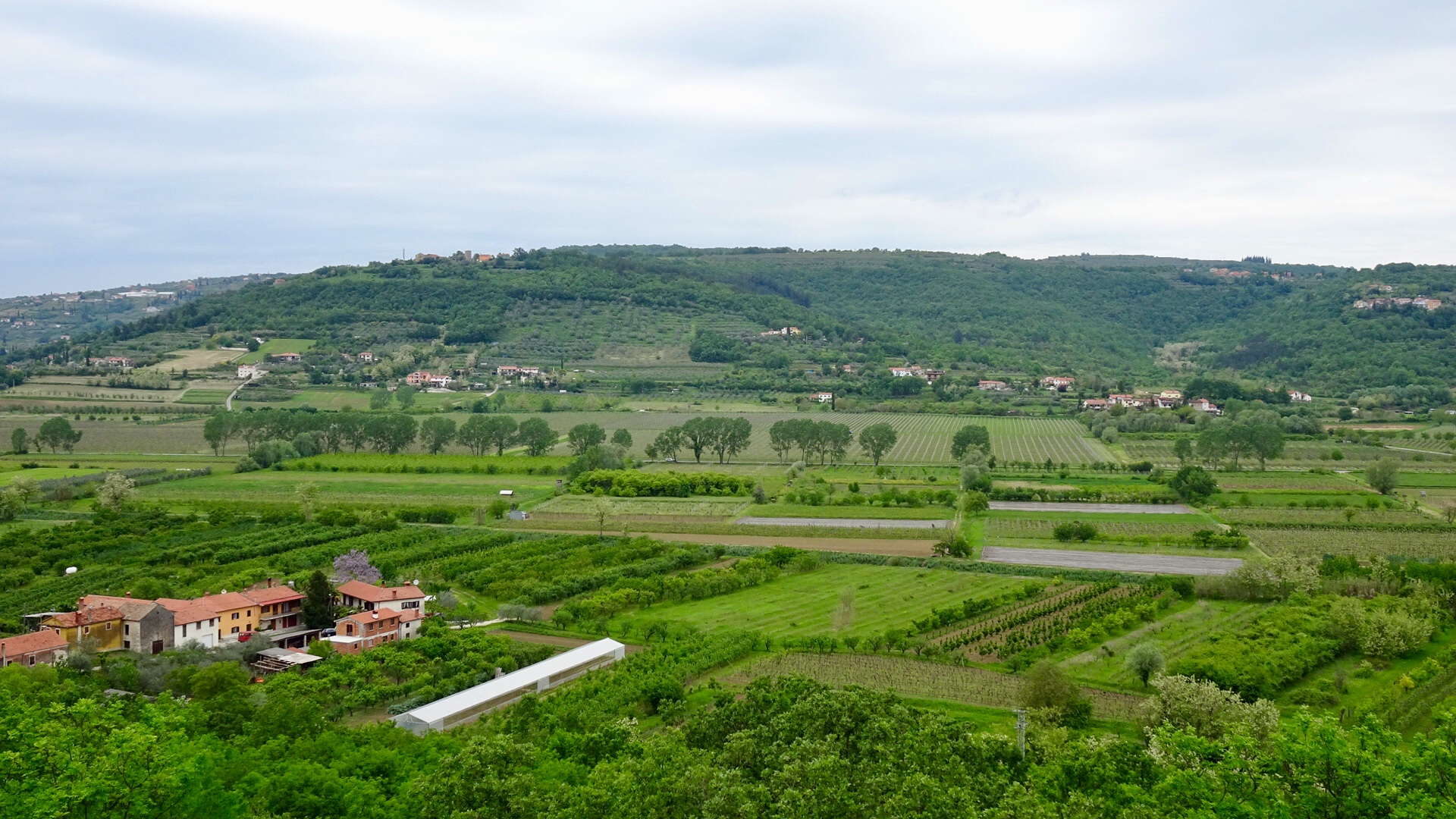 FD34E351-1BFE-4FFC-80F9-79DE42B09071