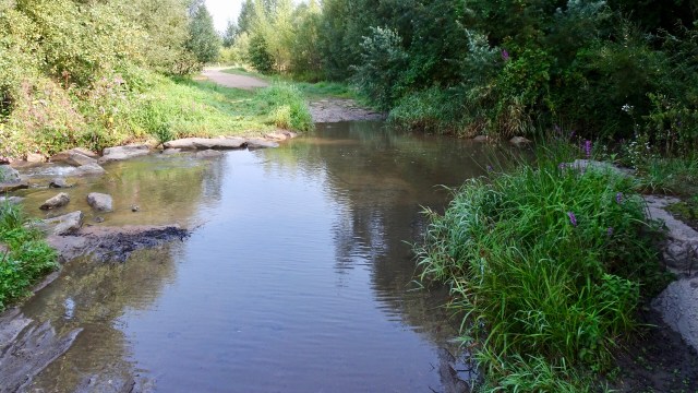 00C43071-033A-4BD8-8051-DB78A3ACEFB2