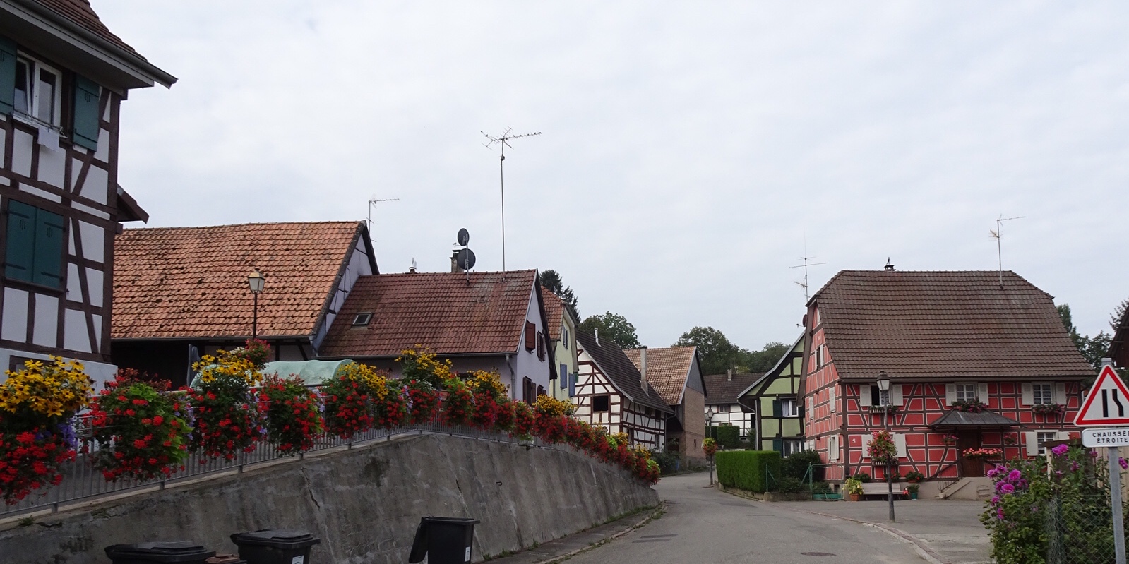 01F80484-0562-412A-816C-C9E36FAA70B8