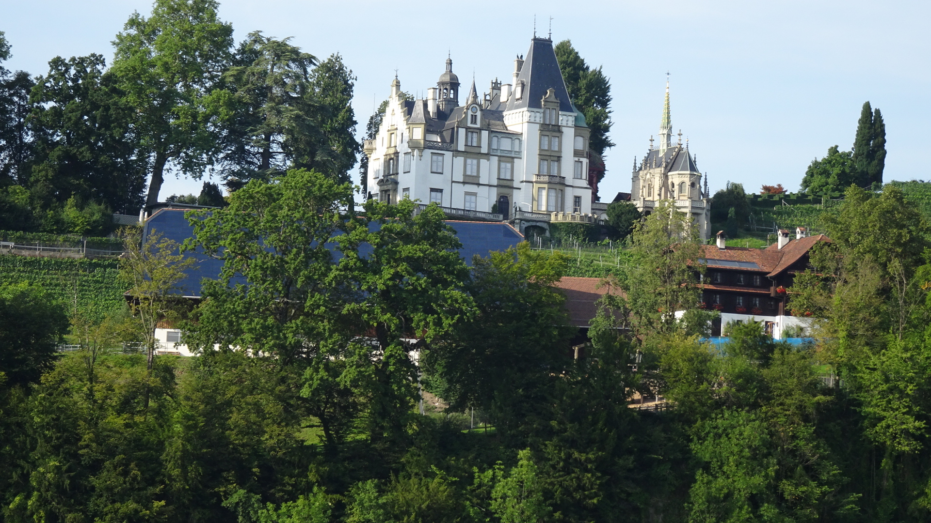 04815C11-F636-4823-85E5-06F162D0F419