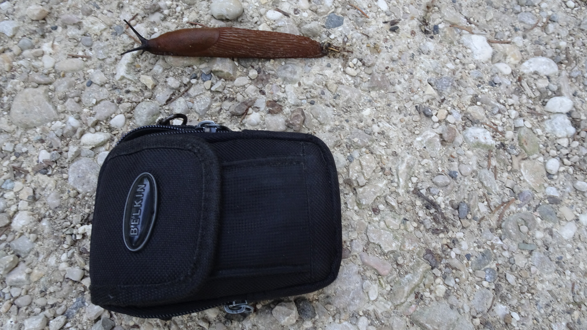 05513115-EC20-48AB-B0AB-BF40AF752F75