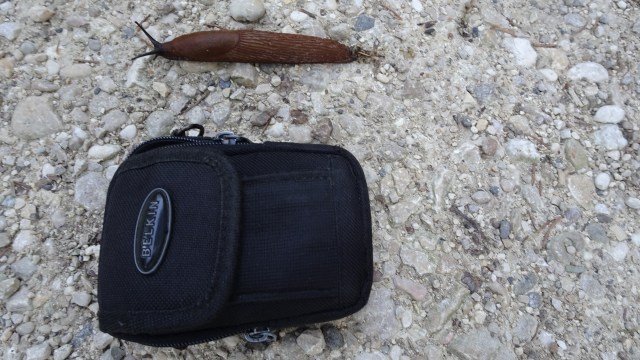 05513115-EC20-48AB-B0AB-BF40AF752F75