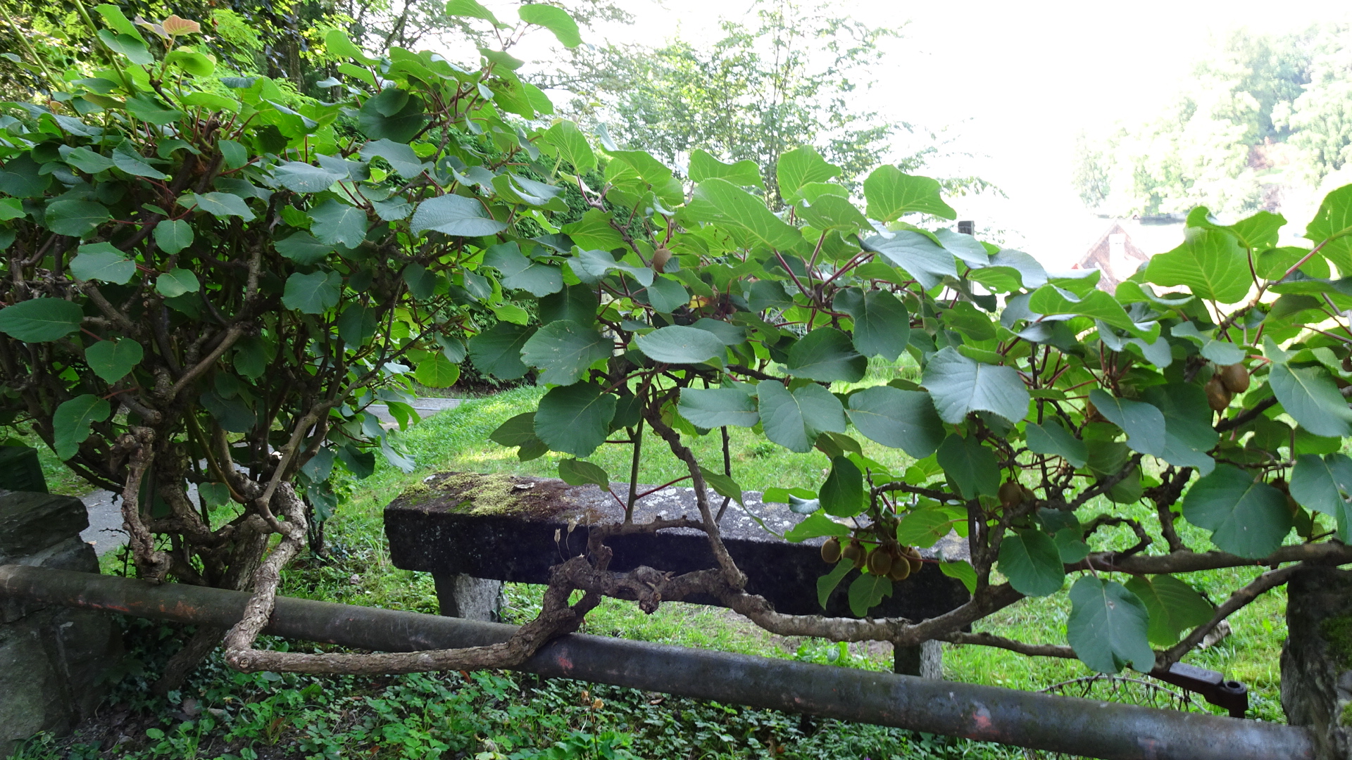 0A31F306-CF1A-4D46-94BB-992F0F897508